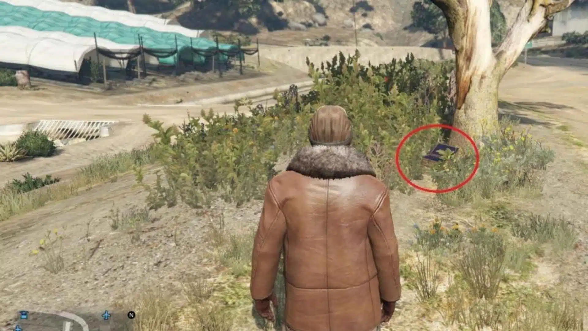 20 GTA 5 Treasure Hunt Locations with Pictures