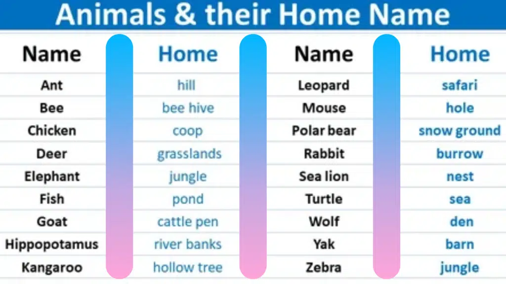 50 Animals and Their House Names