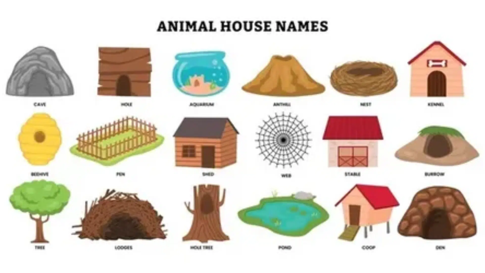 50 Animals House Names
