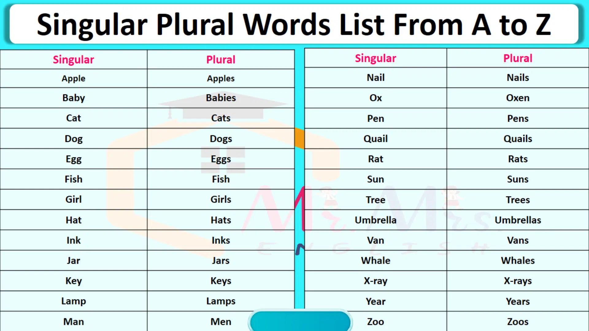 100 Singular and Plural Words in English