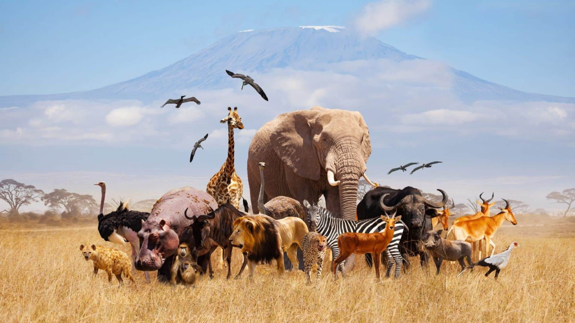 Long Animal Names